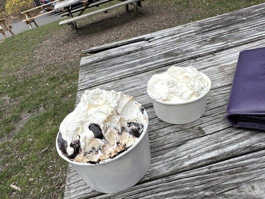 Sundae and stellar whipped cream.