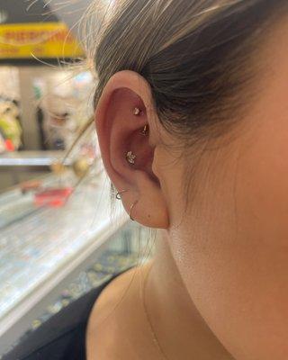 Rook Piercing
Conch Piercing