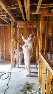 Mold Removal Atlanta