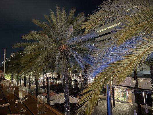 Great views of Giralda Plaza