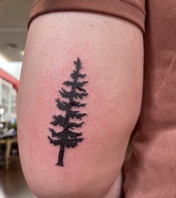 Douglas fir tree tattoo on the back of my arm by Drat.