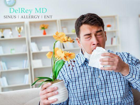 Allergies are simply the way your body reacts to a substance it views as foreign.