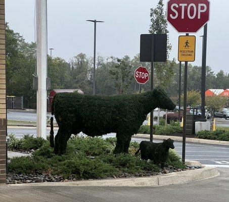 The Jonestown Road Chick-fil-a Momma cow and her calf topiary