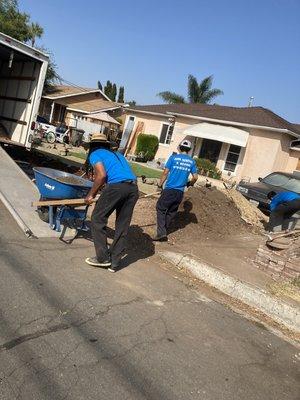 We haul away dirt and yard work !