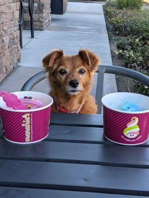 Cute dog does not come with purchase. Price per oz for frozen yogurt and toppings is $0.69