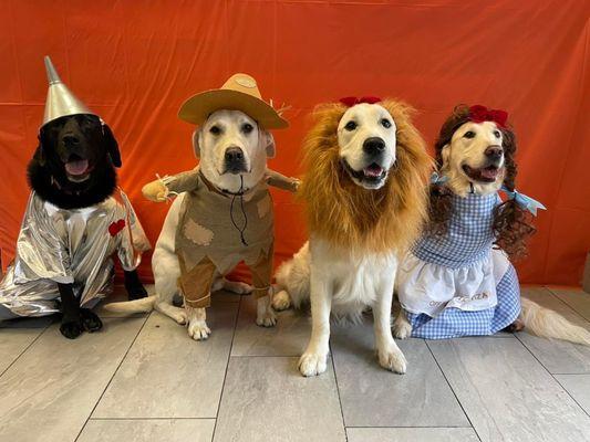 Our annual daycare Halloween party!