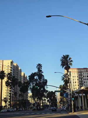 Long Beach Towers Apartments