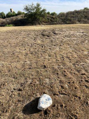 Tee box that looks more like a waste area. Should have a rake on the box.