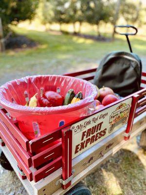 Wagon with collection baskets; apples & varietal peppers