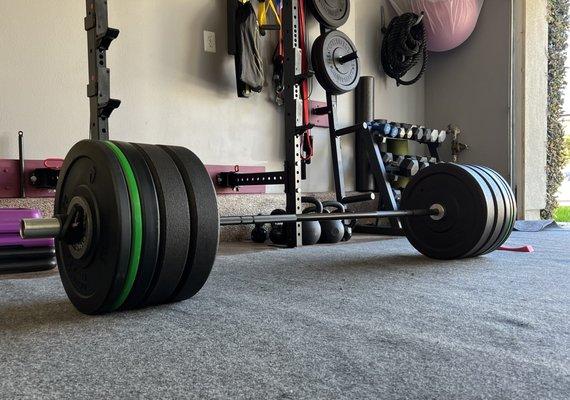 Barbell with plates