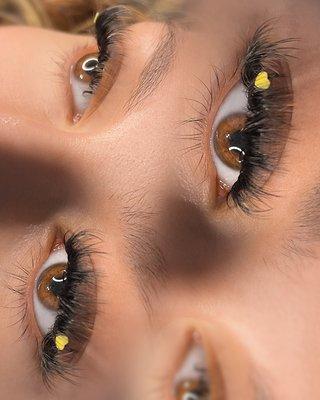 Lash volume with colors by Andrea