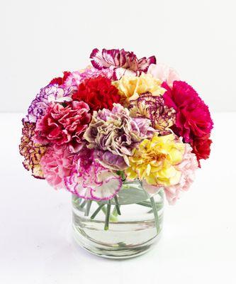 Carnival of Colors Carnations