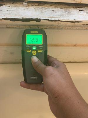 Moisture Meter Test