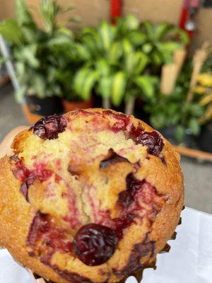 Cranberry Muffin