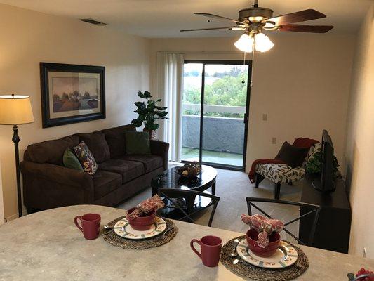 One bedroom apartment Living Room