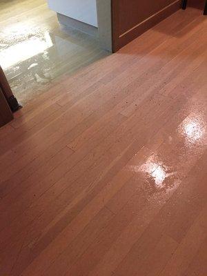 Water on floor after a rainstorm