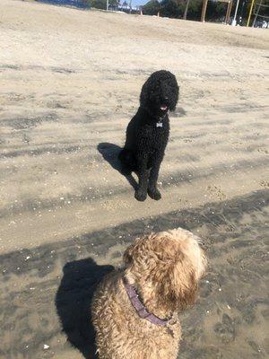 At the beach