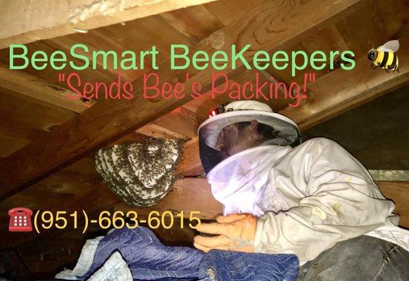 Got bees? Call BeeSmart Bee Removal, We will send your bees packing!! Wherever they are at now, we'll get em removed!