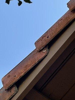 Contractor couldn't even nail the tiles back properly after replacing the rotted wood.