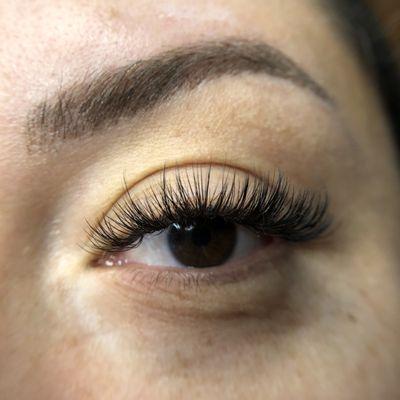 Volume lashes