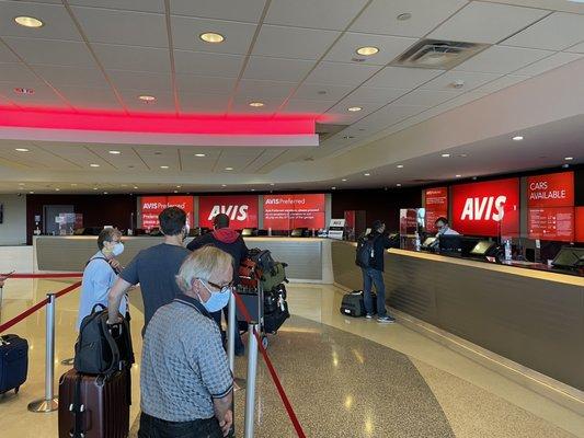 Avis Car Rental