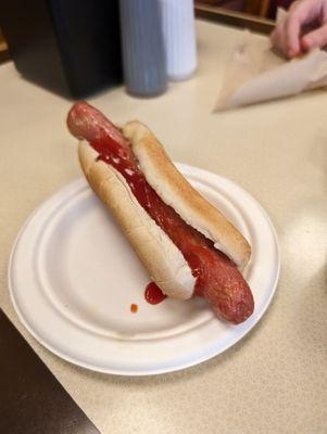 Plain hot dog