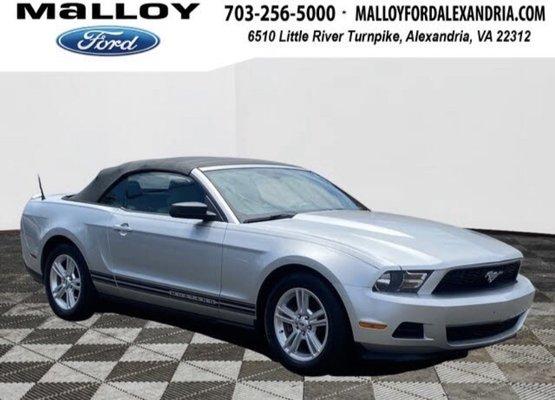 The stang from this dealership I'm discussing