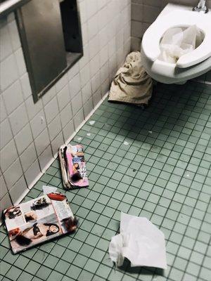 Pornographic magazines and dirty men's restroom stalls (inappropriate imagery blurred out)