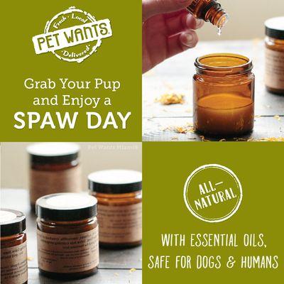 Try out our All Natural Pet Care Products made with Essential Oils