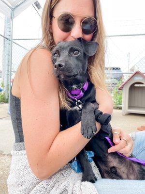 The day we adopted Petey at the Posh Pets Shelter in Long Beach, NY