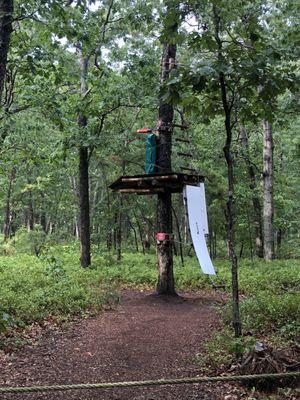 One of the Zip lining platforms