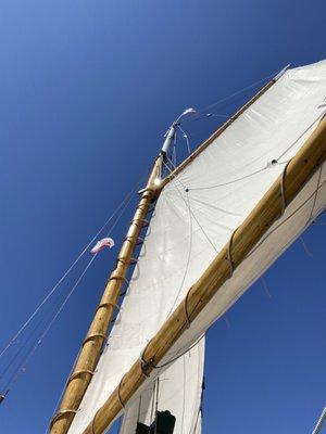 Mainsail