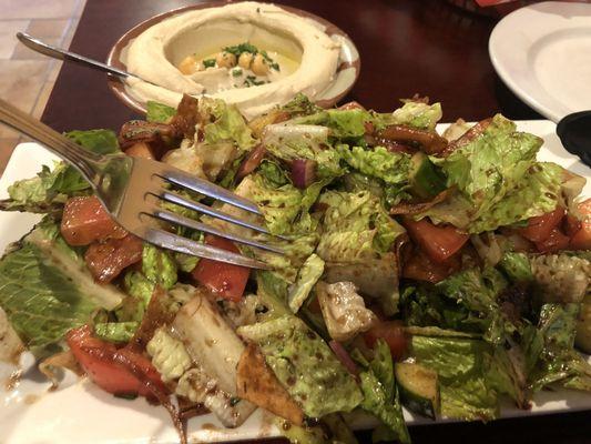 The salad with vegetables and little crispy pita chips