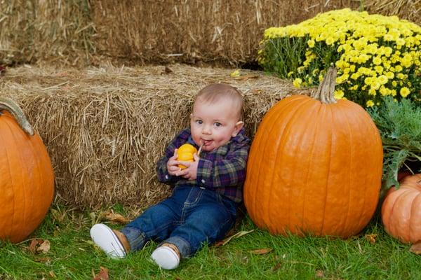 One of our best events so far! #OldBridgeDental #FreeFallFamilyPhotoDay #MikeMcLaughlinPhotos #CrossroadsNursery #October2015