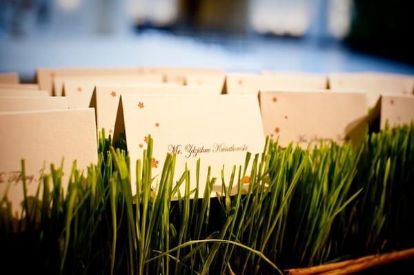 placecards in grass