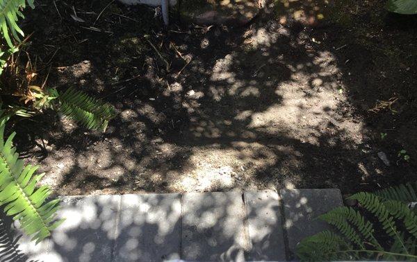 Abrupt drop to side yard walkway