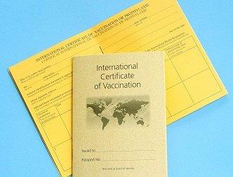 Many countries require immunization record/proof for entry.  We provide immunization certificate at no additional charge.