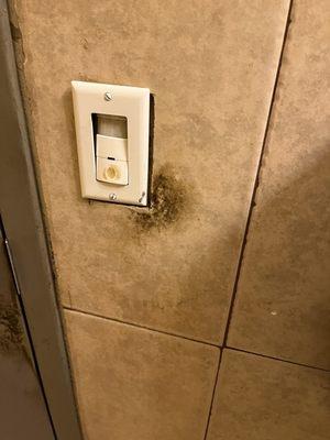 Bathroom light switch. Everything can be done with regular