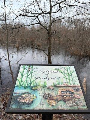 Marshy Point Nature Center