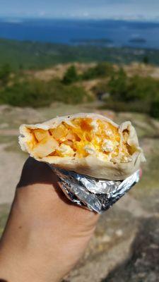 Burrito on top of Cadillac Mountain