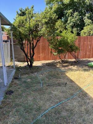 Pet proofing fencing