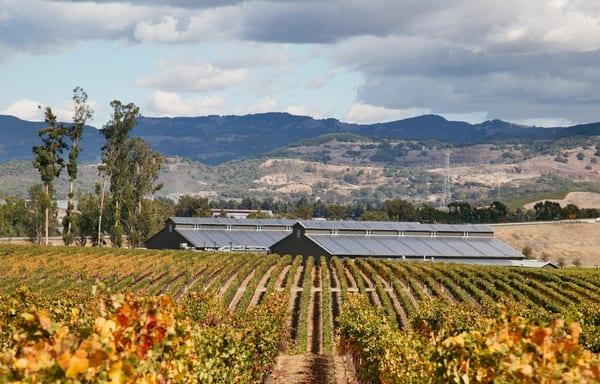 Merryvale - solar panels for wineries