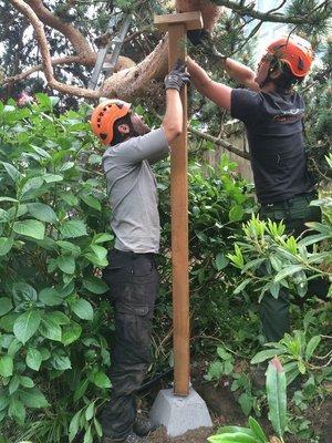 Conor and Mick put the final tuches on the prop for the Ponderosa Pine tree.