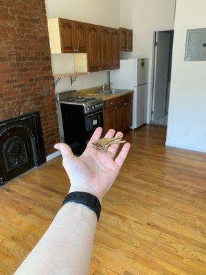 Me standing in my new apartment with the keys 2 days later!