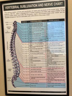 Spinal chart