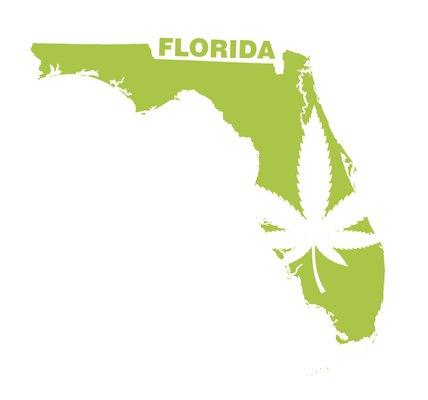 Medical Marijuana Card License in Florida