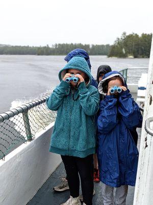 Looking for nature on one of our daily cruises--rain or shine!