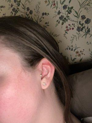 Tragus and conch