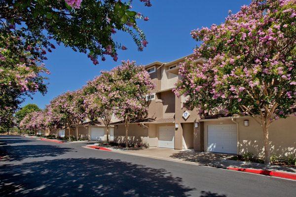 Park Sierra at Iron Horse Trail Apartments