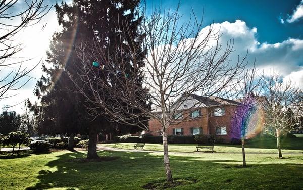 Multnomah University's Biblical Seminary against a crisp blue sky.